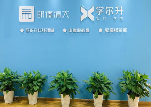 江西明德清大教育咨询集团 深耕教育咨询，赋能未来人才