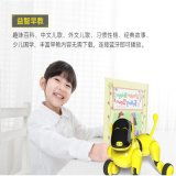 澄海嘉邦玩具厂 智能科技与教育融合的玩具创新前沿